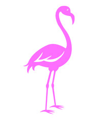Flamingo clip art design on plain white transparent isolated background for sign, decal, card, shirt, hoodie, sweatshirt, apparel, tag, mug, icon, poster or badge