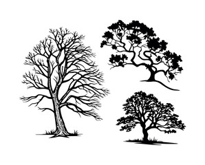 Obraz premium Three tree silhouettes nature illustration silhouette