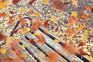 background of fallen autumn leaves, abstract autumn backdrop