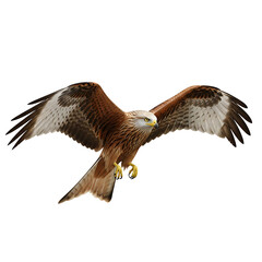 Obraz premium Cartoon businessman in a suit looking anxious and sweating while adjusting his red tie.