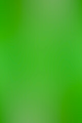 green gradient background / abstract blurry fresh green background