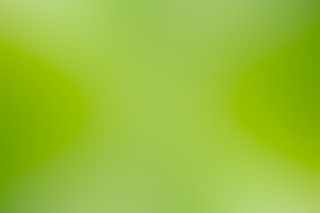green gradient background / abstract blurry fresh green background