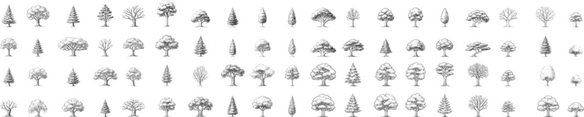 A comprehensive set of unique tree drawings, ideal for architecture and landscape design. Featuring diverse styles and shapes, this black-and-white vector collection enhances blueprints, urban plan