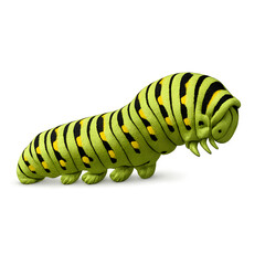 Black Swallowtail Caterpillar Close-up