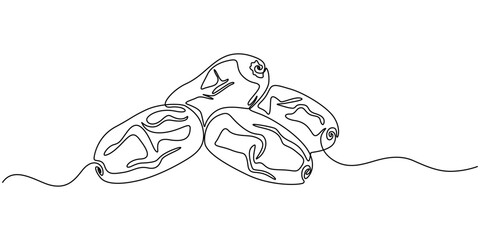 Dates fruit continuous line. Continuous one line drawing of sweet dates. Tropical arabic fruit concept. single line drawing, Continuous one line drawing of dates palm fruit. Vector illustration