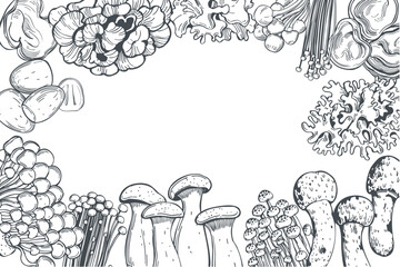 Hand-drawn edible Mushrooms of Asia. Vector background. Sketch  illustration.