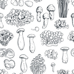 Hand-drawn edible mushrooms of Asia. Vector  seamless pattern
