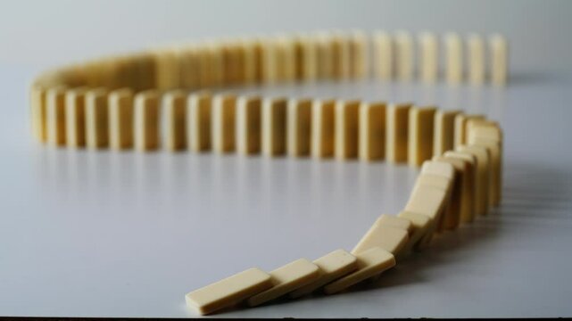 Finger pushing domino line destroying wavy shape on light table surface closeup.
