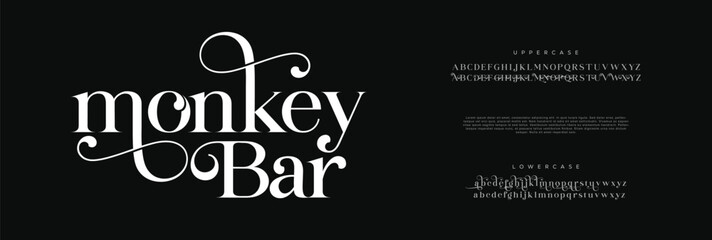 Elegant Font Uppercase Lowercase and Number. Classic Lettering Minimal Fashion Designs. Typography modern serif fonts regular decorative vintage concept. vector illustration
