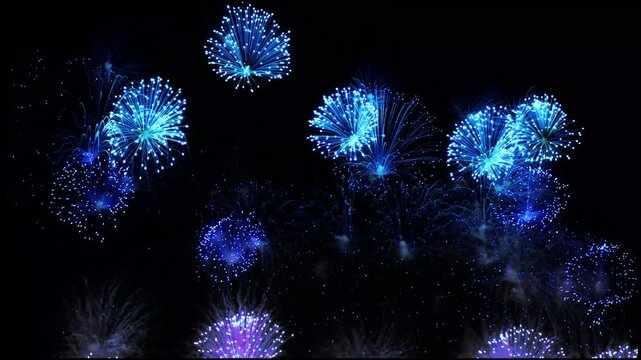 Mesmerizing Blue Fireworks Display Night Sky Spectacle 
