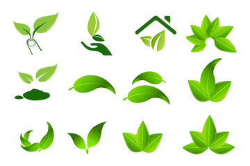 Green leaf environment icons set. Green leaf ecology nature element vector icon set vector illustration.
