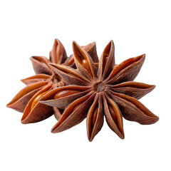 Two star anise spices close up on a dark background