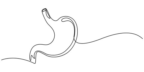 Stomach one continuous line drawing anatomy concept on white background. Single line art stomach minimalism vector illustration, Continuous Line Drawing of Stomach Icon. Hand Drawn Symbol Vector pro.