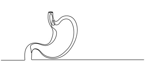 Stomach one continuous line drawing anatomy concept on white background. Single line art stomach minimalism vector illustration, Continuous Line Drawing of Stomach Icon. Hand Drawn Symbol Vector pro.
