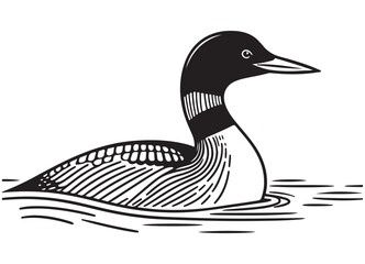 Graceful common loon in water vector image wildlife nature