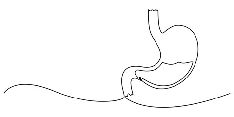 Stomach one continuous line drawing anatomy concept on white background. Single line art stomach minimalism vector illustration, Continuous Line Drawing of Stomach Icon. Hand Drawn Symbol Vector pro.