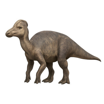 Detailed Illustration of a Parasaurolophus