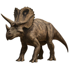 Fototapeta premium Detailed Triceratops Dinosaur Illustration