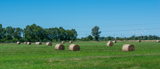 Heuernte verarbeitet zu Rundballen auf einem Feld