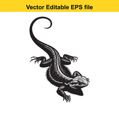 Obraz premium Detailed Vector Illustration of a Bearded Dragon Featuring Scaled Skin and a Curled Tail Depicting Reptilian Anatomy for Educational or Artistic Purposes