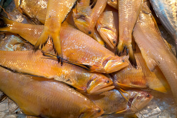 Close up of Oranges fishes, on ice at traditional market, Pasar Penuin Wet Market in Batam City, Indonesia