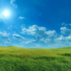 Obraz premium Summer meadow landscape vector Illustration with green grass and blue sky. Can be used for traveling, summer outdoor recreation and vacationor farming industry concepts.