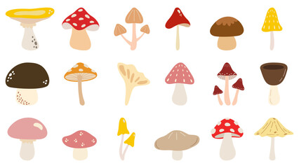 Variety of Mushrooms Vector Illustration Full Set. Fungi. Colorful.