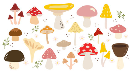 Autumn set with seamless pattern and a collection with seasonal elements, different mushrooms and plants