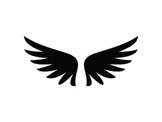 Black Wings Pair Symmetric Design