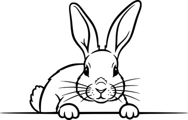Fototapeta premium curious rabbit peeking over edge vector doodle black sketch illustration 