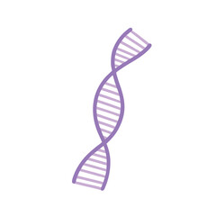 Abstract purple vector illustration of a dna helix on a clean white background