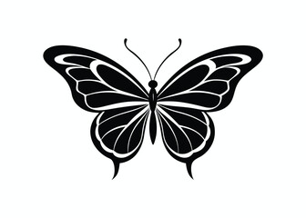 Butterfly set of different, colorful butterflies, vector isolated on white background
