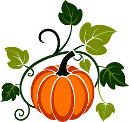 pumpkin on a white background