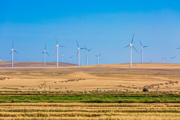 Campo eólico en Idaho.