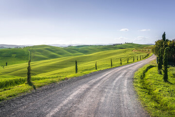 Fototapeta premium Route of the Via Francigena in Monteroni d'Arbia. Tuscany, Italy