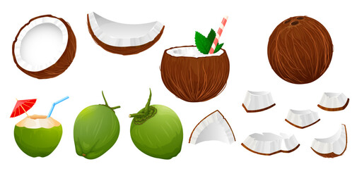 Vector illustration of a coconut set on a white background. Includes whole coconut, coconut pieces, green coconut, and tropical coconut drink in a glass.