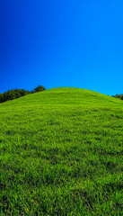 Naklejka premium Lush green grassy hill under a bright blue sky