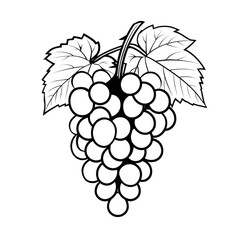Elegant line art drawing of a bunch of grapes with leaves a perfect design element for wine labels or healthy food packaging, silhouette, transparent background