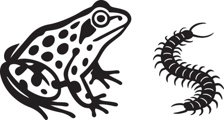 Frog and centipede black and white drawing, Simple nature creatures vector design