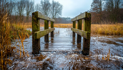 Flooded wooden bridge in a wetland landscape with trees and tall grass