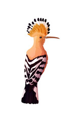 vector cartoon animal isolated on transparent background