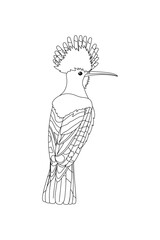 vector cartoon animal isolated on transparent background. black and white style