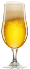 Glass of chilled light beer with beer foam and gas bubbles rising inside, isolated on white background. Clipping path.
