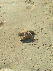 Sunny Beach Scene with Sand and Clear Sky