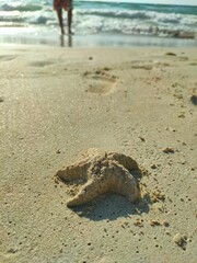 Sunny Beach Scene with Sand and Clear Sky
