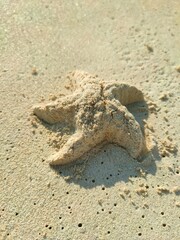 Sunny Beach Scene with Sand and Clear Sky