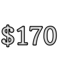 dollar sign on white background $170