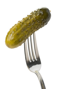 Pickle impaled on fork isolated, sour cucumber snack, close-up food shot, eating healthy concept