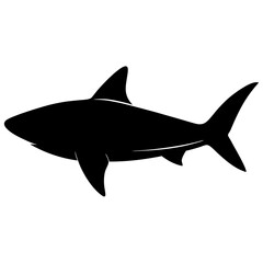 Obraz premium Silhouette of a reef shark