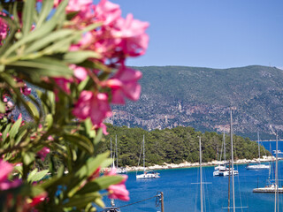 Summer harbor scene with sailboats, vivid blue sea, and a flowering oleander branch in the...